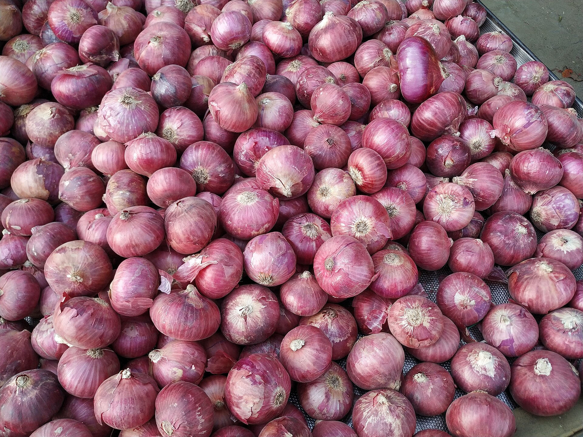 Onions on a trolley at an Indian market