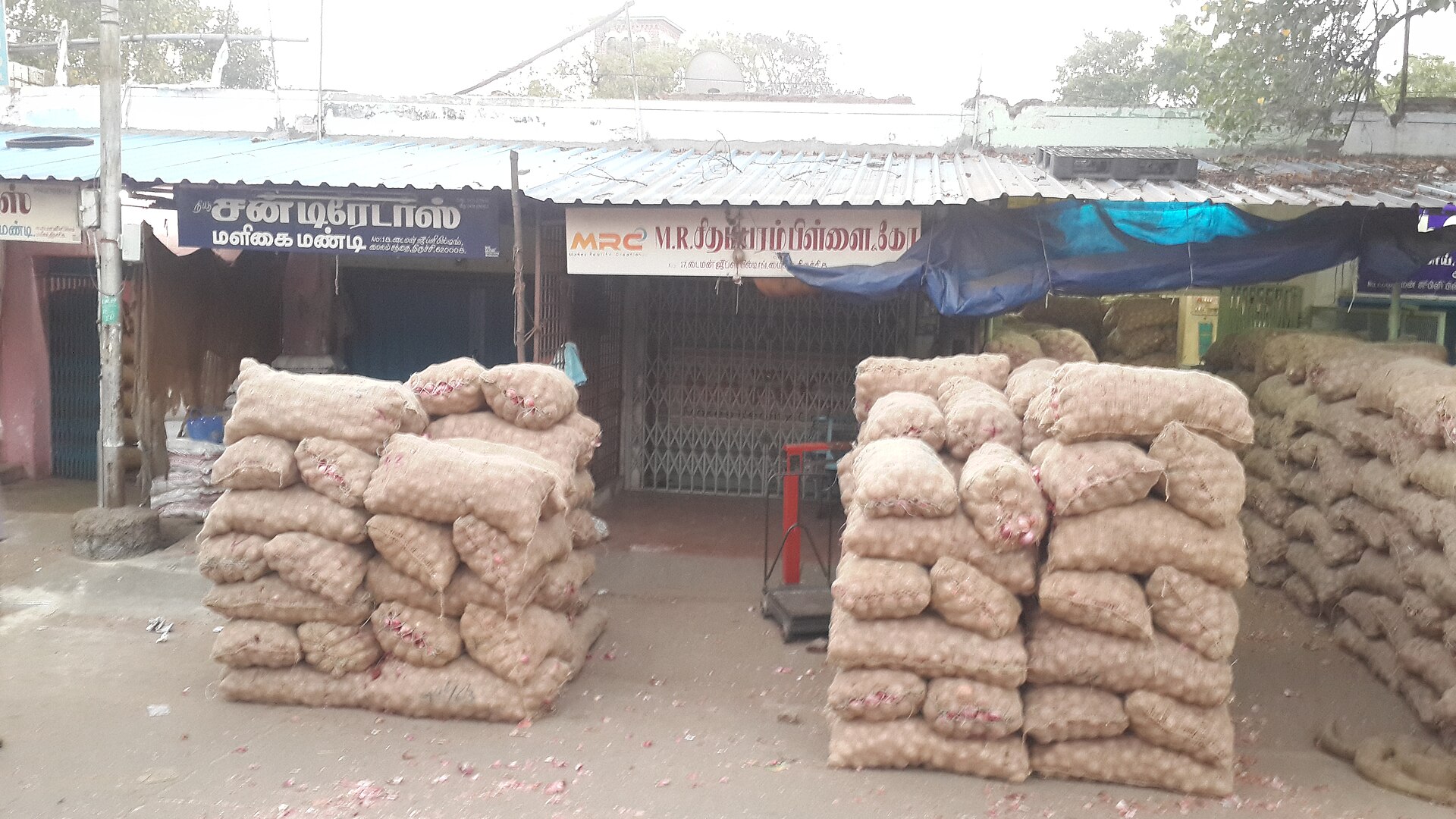 Onion sacks at an Indian wholesale mandi